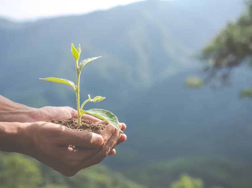 hero sustentabilidade